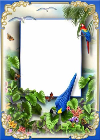 Nature frame for photoshop download - Tropical island. Transparent ...
