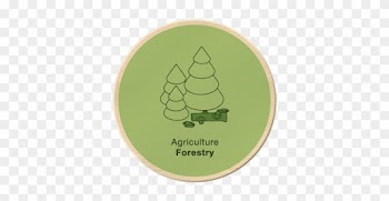 Nature In Cities Brings Many Benefits To Urban Living - Christmas Tree