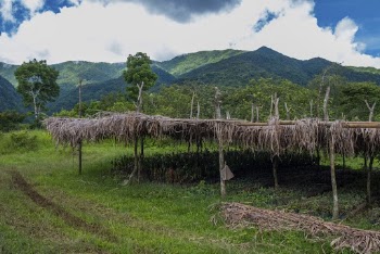 Nature landscape background, agriculture in the Philippines. | Free Photo - rawpixel