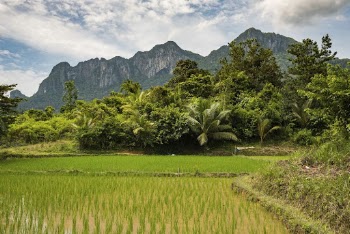 Nature landscape background, agriculture in the Philippines. | Free Photo - rawpixel
