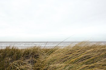 Nature landscape photography photo, free | Free Photo - rawpixel