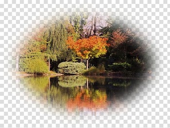 Nature Landscape Pond Leaf, pas de deux transparent background PNG clipart