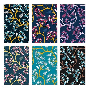 Nature leaf pattern design set | Free stock vector - 563282