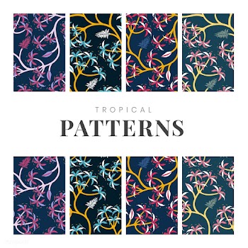 Nature leaf pattern design set | Free stock vector - 563283