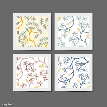Nature leaf pattern design set | Free stock vector - 563287