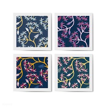 Nature leaf pattern design set | Free stock vector - 563290