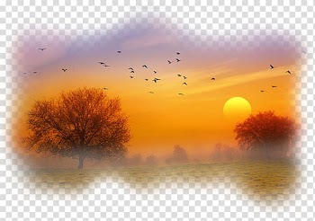Nature Берегите природу Music Autumn , Nature view transparent background PNG clipart