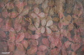 Nature pattern background | Free stock vector - 597430