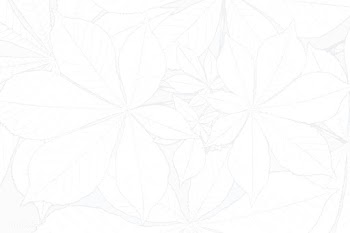 Nature pattern background | Free stock vector - 597591