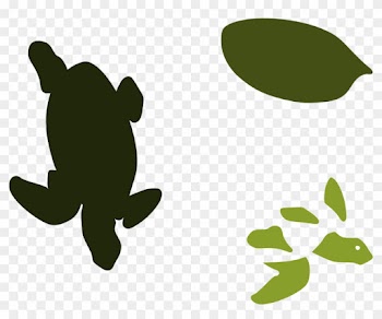 Nature, Personal Use, Seaturtle, - Nature, Personal Use, Seaturtle,