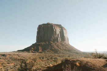 Nature Photography