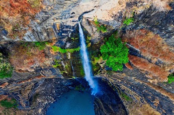Nature Photography
