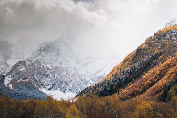 Nature Photography