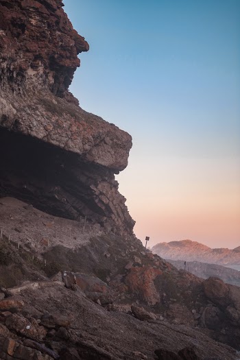 Nature Photography