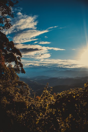 nature  photograpy