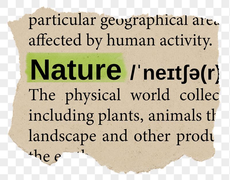 Nature png dictionary word sticker, | Free PNG - rawpixel