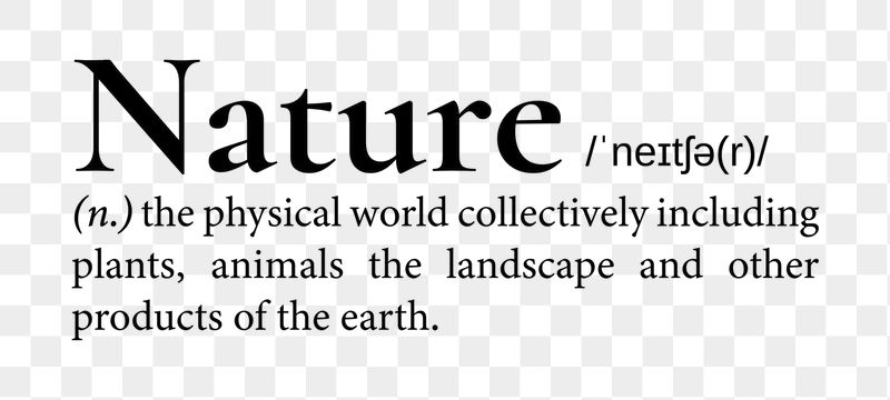 Nature png dictionary word sticker, | Free PNG - rawpixel