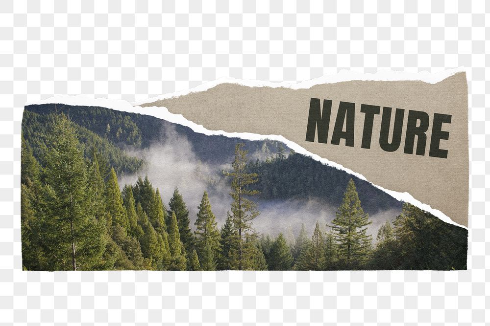 Nature png ripped paper sticker, | Free PNG - rawpixel