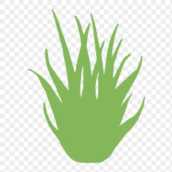 Nature png sticker, minimal grass | Free PNG Illustration - rawpixel