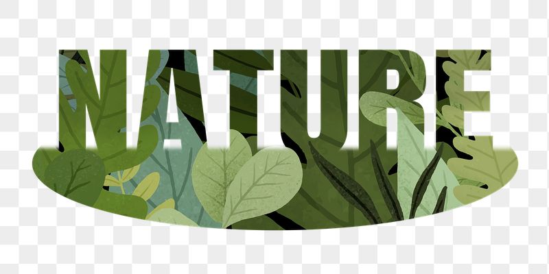 Nature png word sticker, green | Free PNG - rawpixel