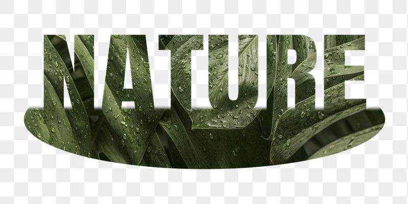 Nature png word sticker, leaf | Free PNG - rawpixel