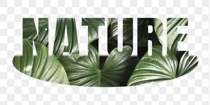 Nature png word sticker, leaf | Free PNG - rawpixel