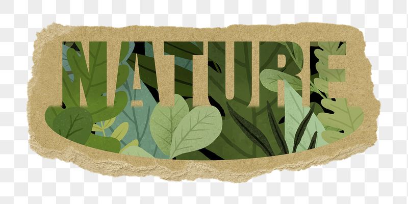 Nature png word sticker, leaf | Free PNG - rawpixel