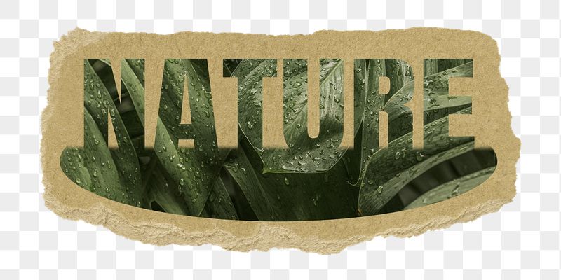 Nature png word sticker, leaf | Free PNG - rawpixel