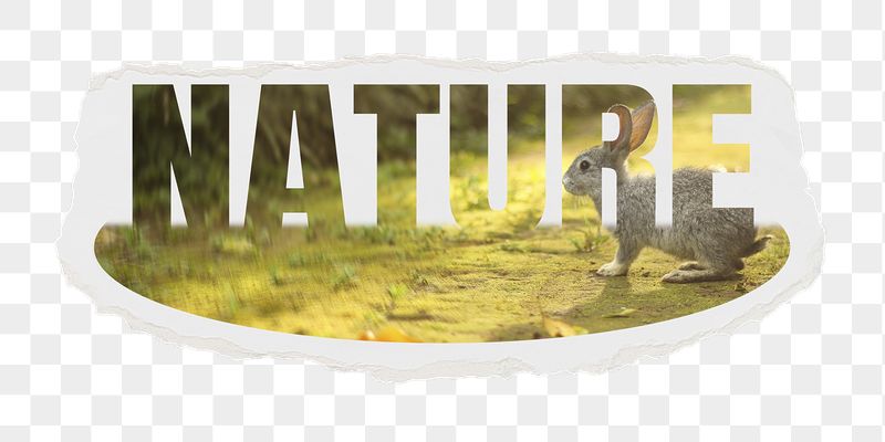Nature png word sticker, rabbit | Free PNG - rawpixel