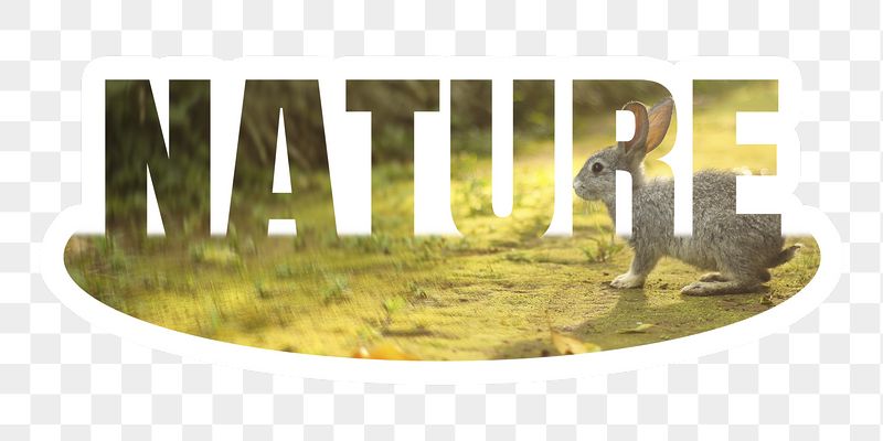 Nature png word sticker, white | Free PNG - rawpixel