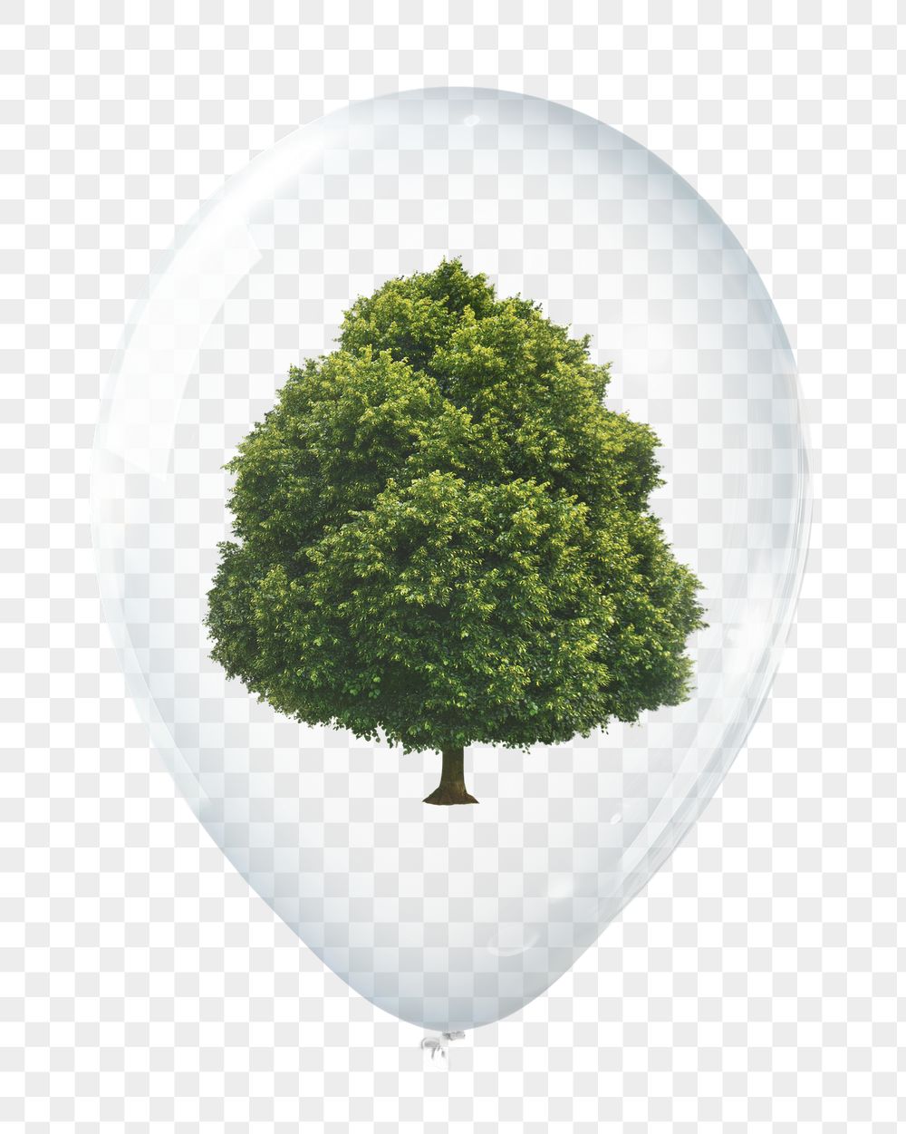 Nature protection png, tree in clear | Free PNG - rawpixel