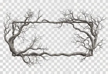 Nature's Frame: A Photorealistic Tree Branch Portrait