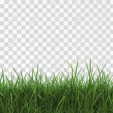 Nature's Touch: Grass Texture on Clean Canvas