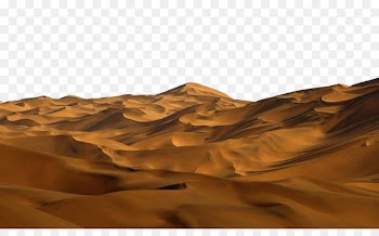 Nature Sand Landscape - The golden sand of nature 