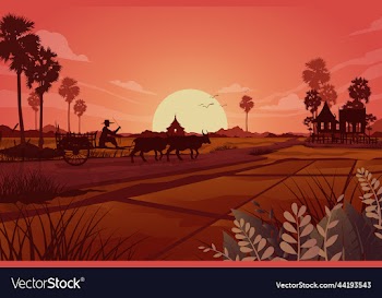 nature scene of rural land agriculture grassland