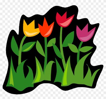 Nature - Spring