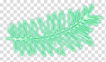 Nature Spring  lights, green leaves transparent background PNG clipart