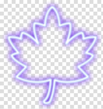 Nature Spring  lights, leaf illustration transparent background PNG clipart