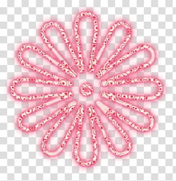Nature Spring  lights, pink glowing flower illustration transparent background PNG clipart