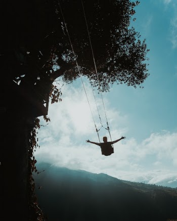 Nature swing and adventure travel. | Free Photo - rawpixel