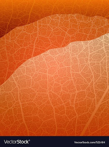 Nature theme background vector image