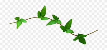 Nature Transparent Png - Clip Art