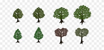 Nature Tree, Forest, Nature - Forest