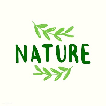 Nature typography vector in green | Free stock vector - 472359