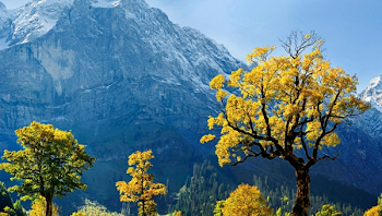 Nature Wallpapers – 32+ Free JPG, PNG, PSD, AI, Vector EPS Format ...