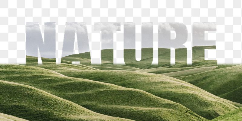 Nature word png border sticker, | Free PNG - rawpixel