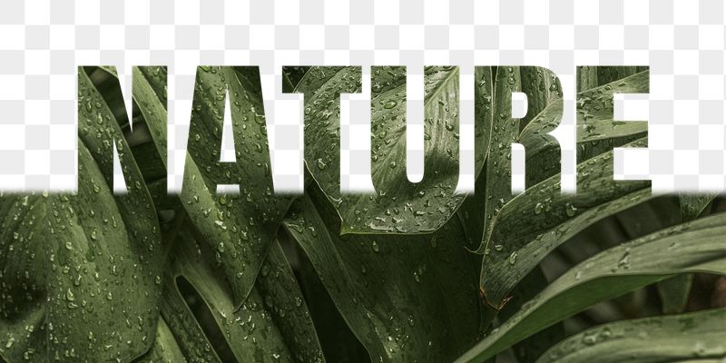 Nature word png border sticker, | Free PNG - rawpixel