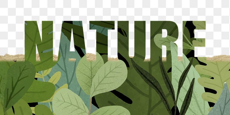 Nature word png border sticker, | Free PNG - rawpixel