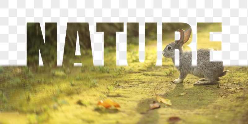 Nature word png border sticker, | Free PNG - rawpixel