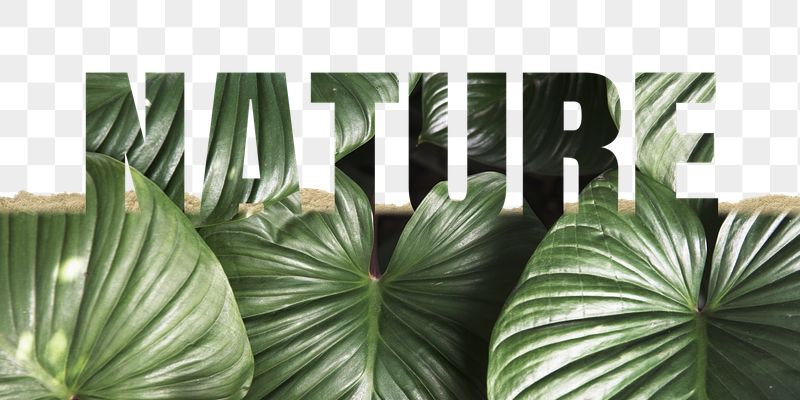 Nature word png border sticker, | Free PNG - rawpixel